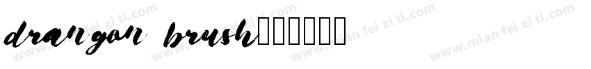 drangon brush字体转换